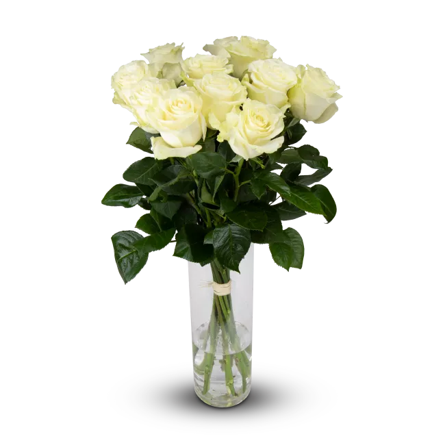 bouquet of Ecuadorian roses 80cm